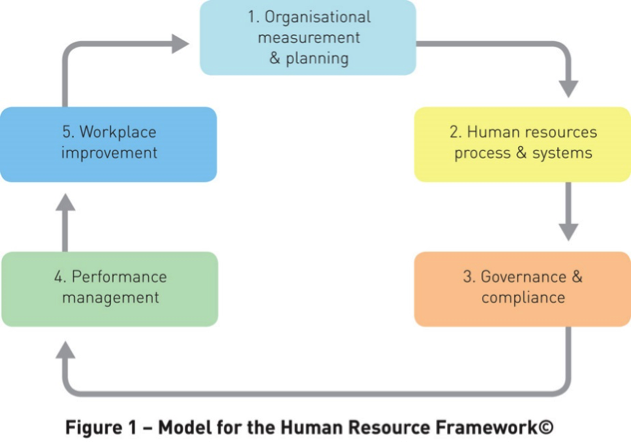 HR Coach Model for the Human Resource Framework